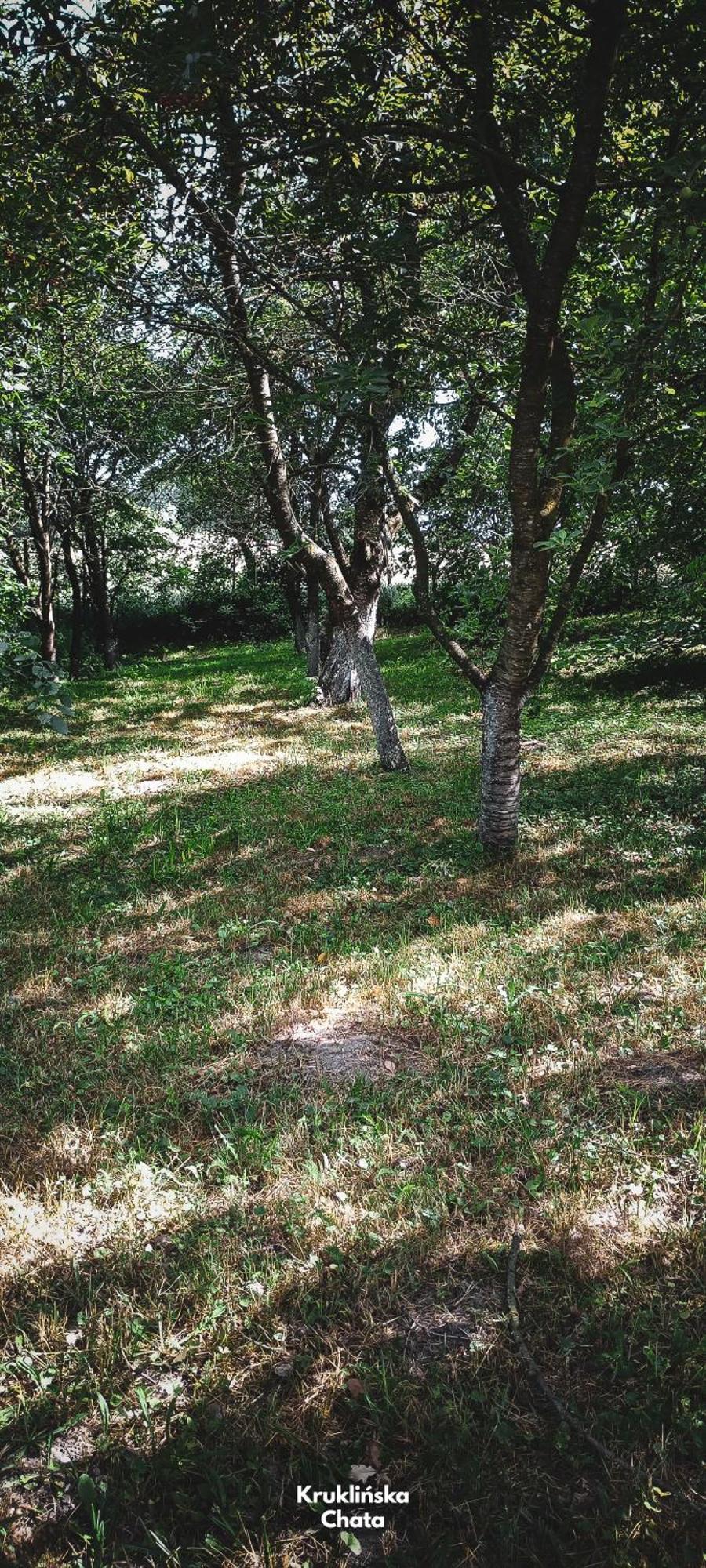 Kruklinska Chata - Domek Na Mazurach Exterior photo